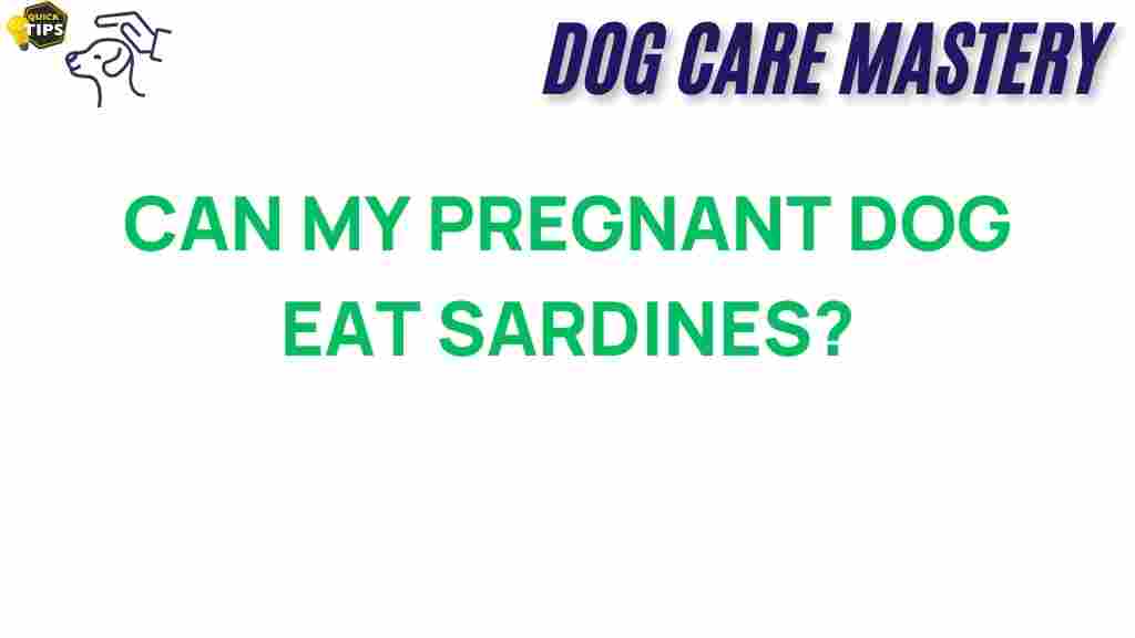 pregnant-dog-eat-sardines