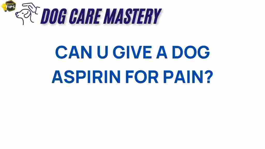 dog-aspirin-for-pain-relief