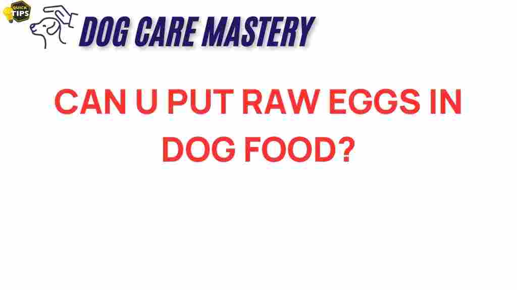 raw-eggs-in-dog-food