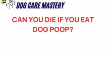 The Shocking Truth: Can Eating Dog Poop Actually Endanger Your Life?