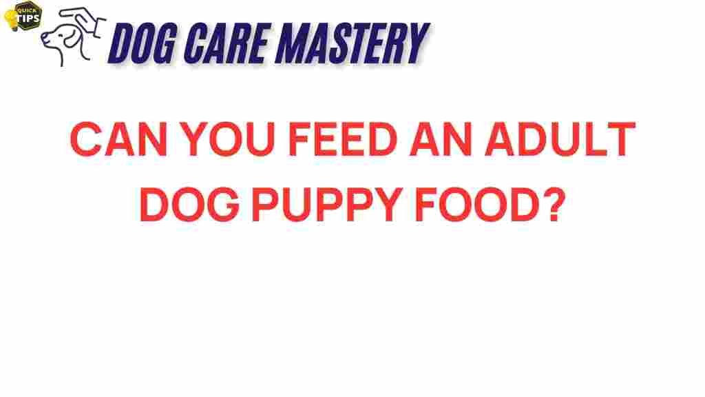 adult-dogs-puppy-food