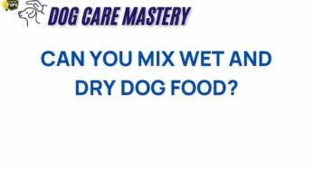 The Surprising Benefits of Mixing Wet and Dry Dog Food