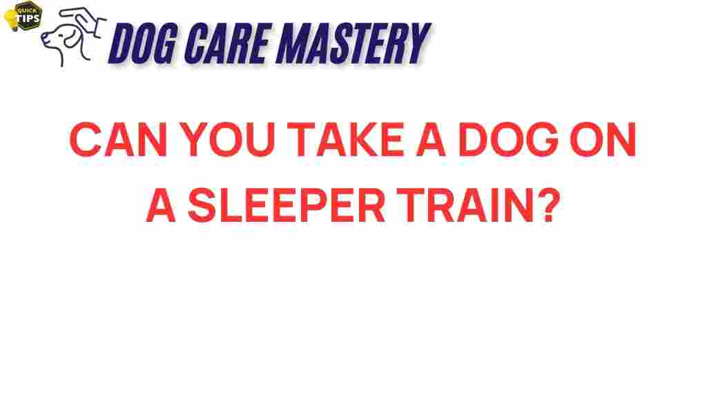 dog-travel-on-sleeper-train