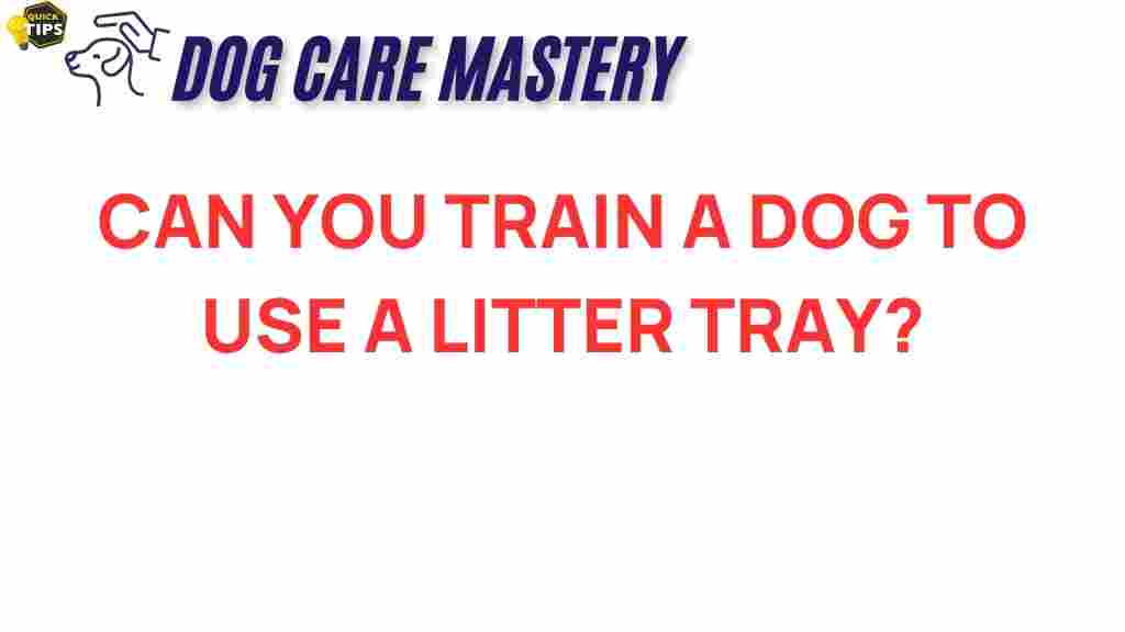 train-dog-litter-tray