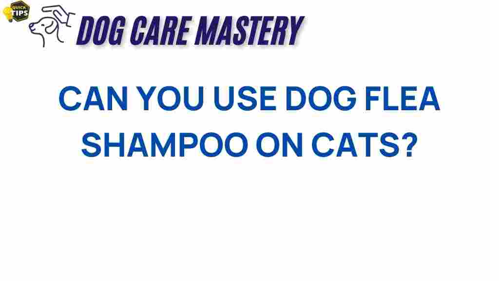 can-dog-flea-shampoo-on-cats