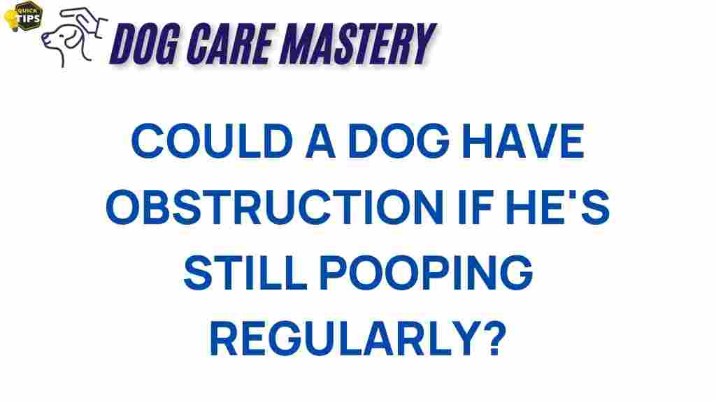 dog-health-bowel-obstruction