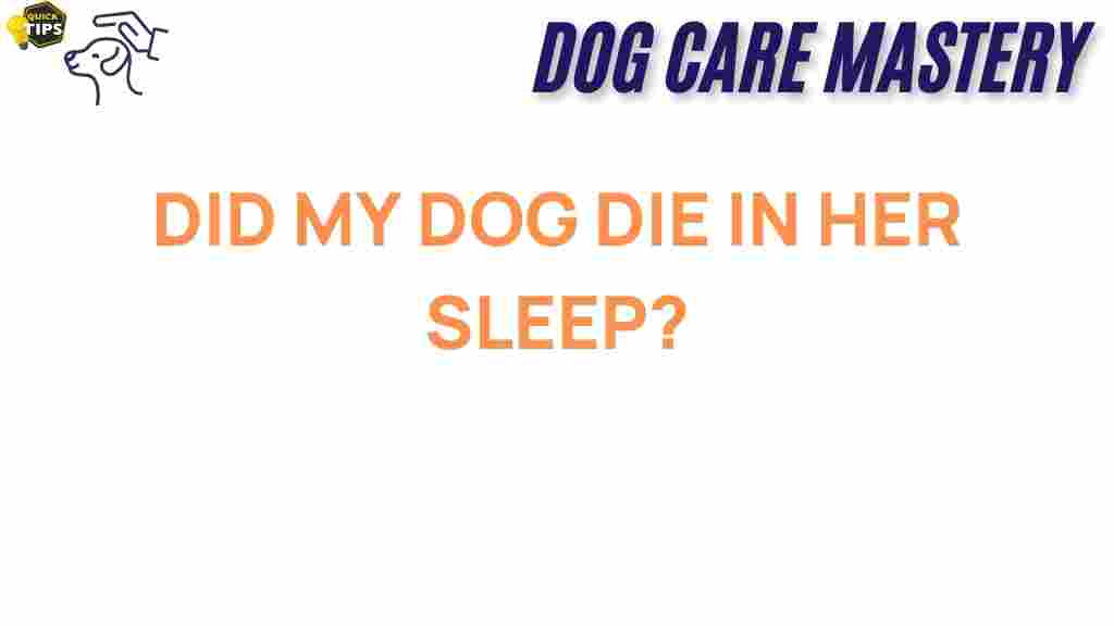 dog-death-signs-passing