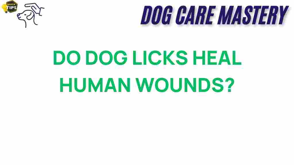 do-dog-licks-heal-human-wounds