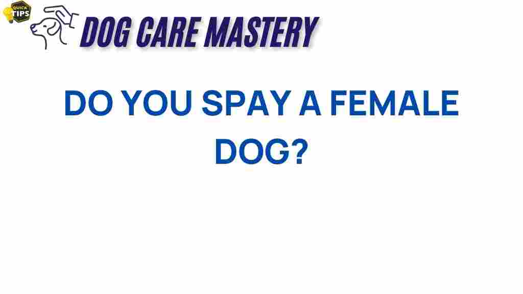 spay-female-dog