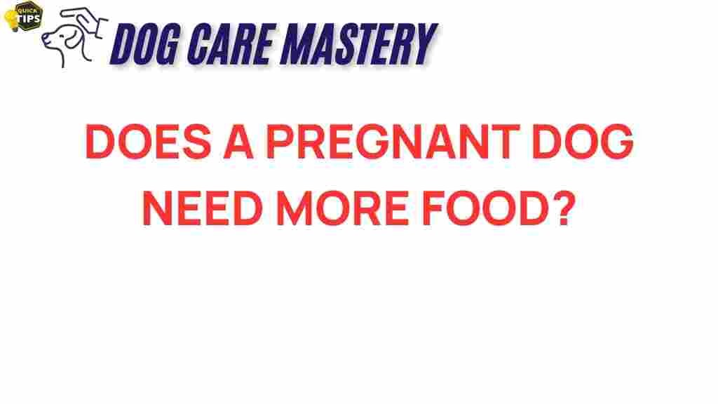 pregnant-dogs-nutritional-needs