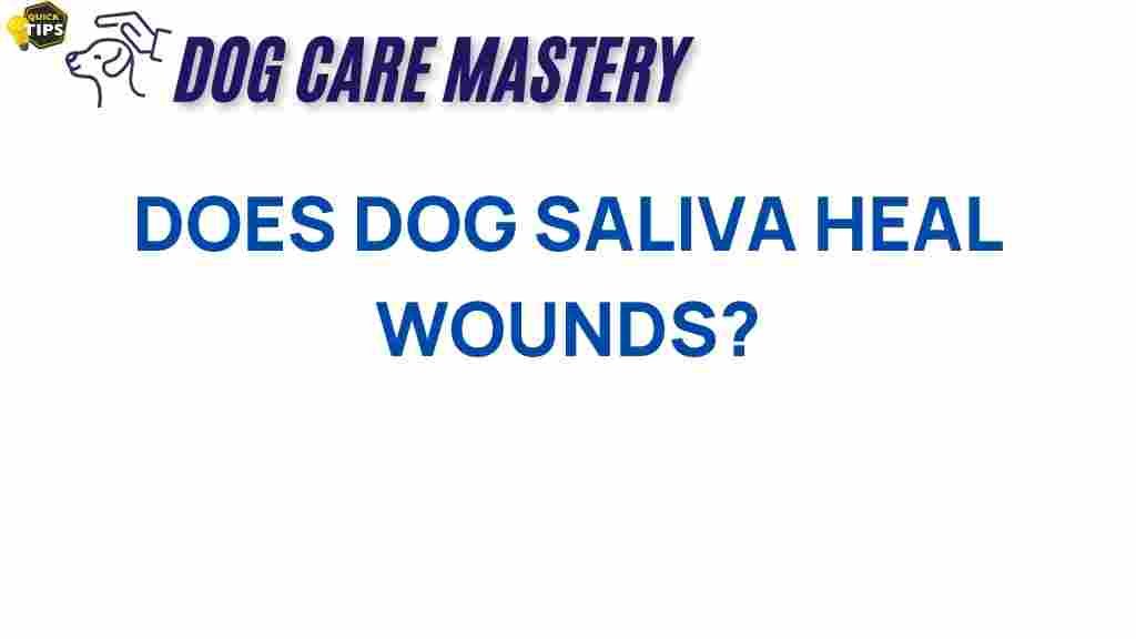 dog-saliva-heal-wounds