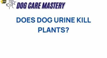 The Hidden Dangers: Does Dog Urine Really Kill Plants?