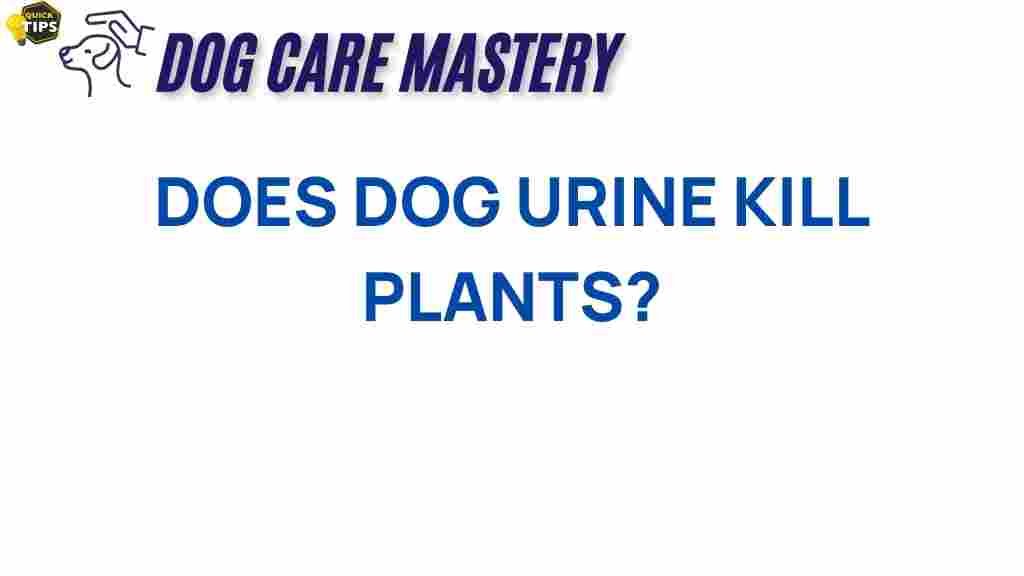 dog-urine-kill-plants