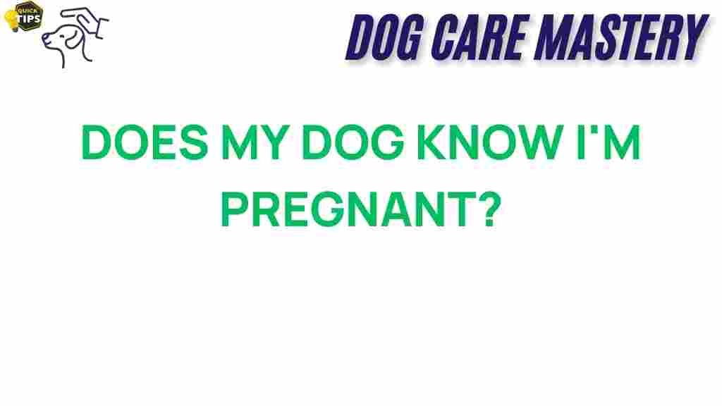 dog-pregnancy-sense