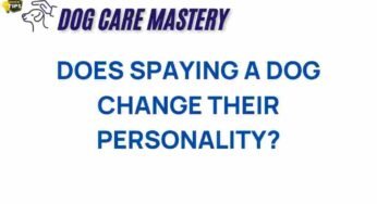 Unraveling the Mystery: Does Spaying a Dog Alter Their Personality?