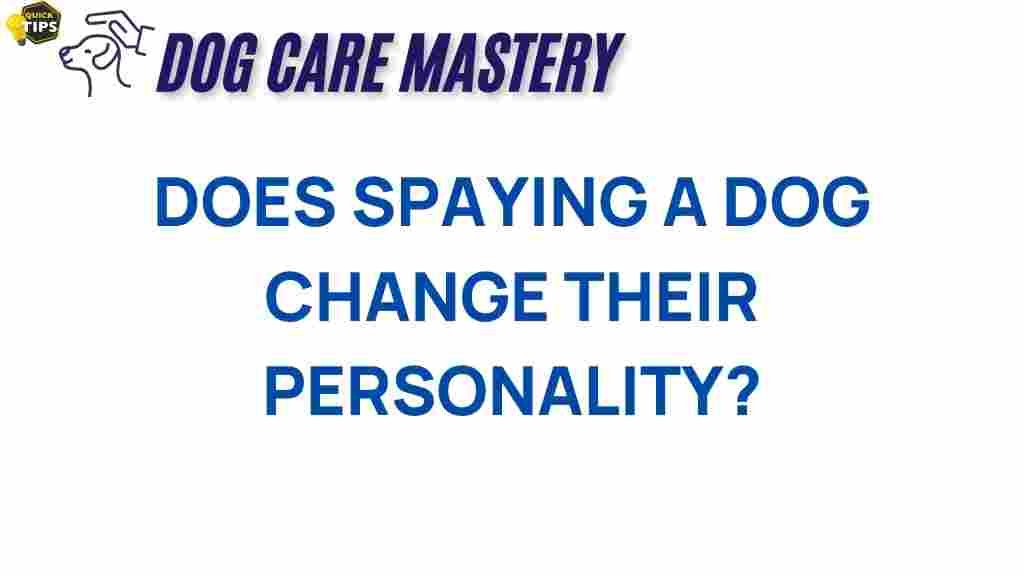 spaying-dog-personality