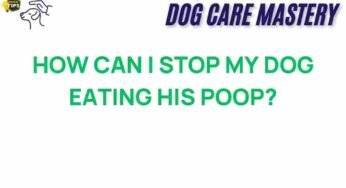 The Surprising Reasons Behind Dogs Eating Their Own Poop