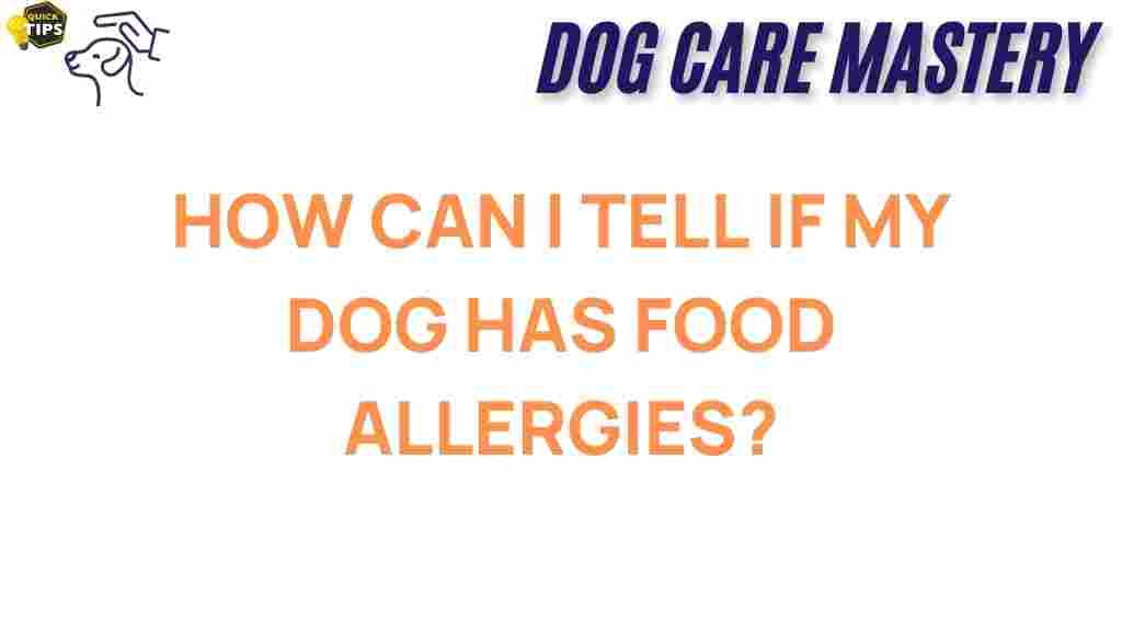 dog-food-allergies