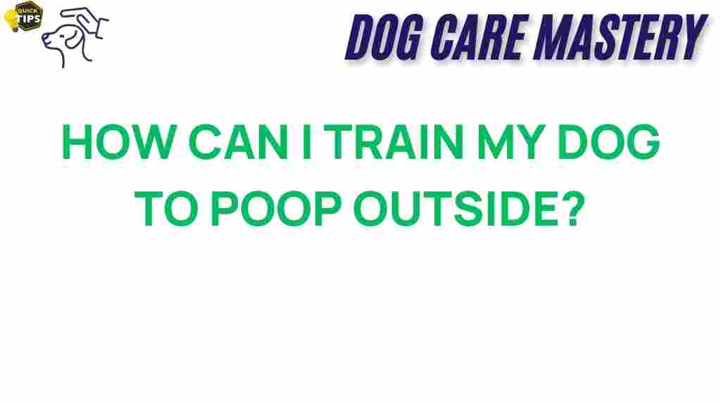dog-training-poop-outside