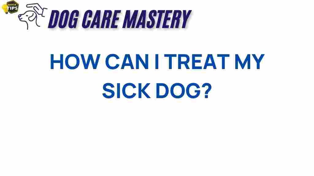 treat-sick-dog-guide