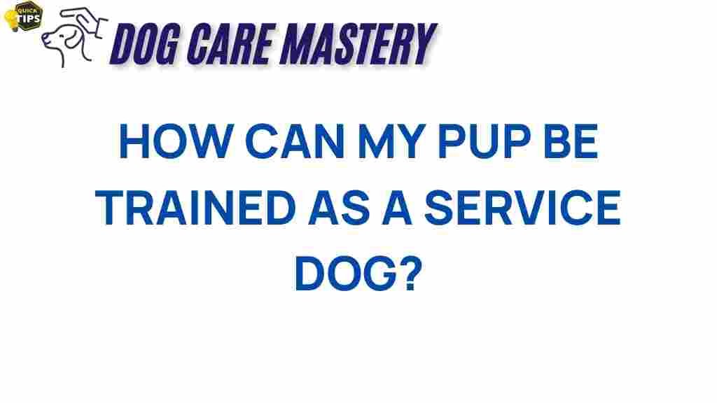 service-dog-training