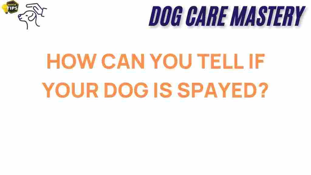 spayed-dog-health-signs