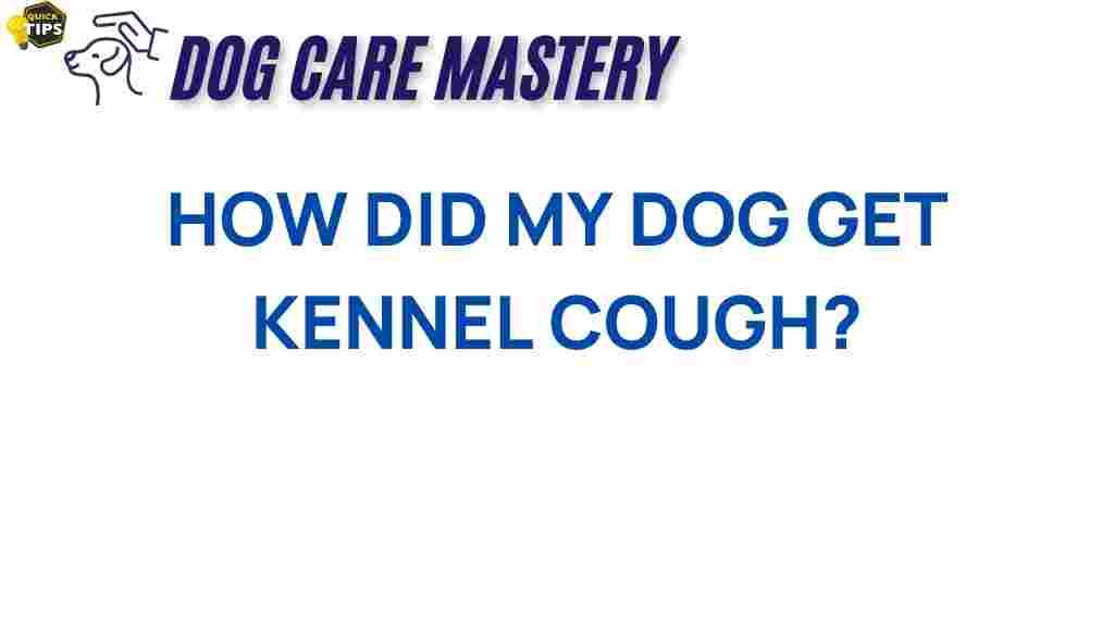 kennel-cough-how-did-my-dog-get-it