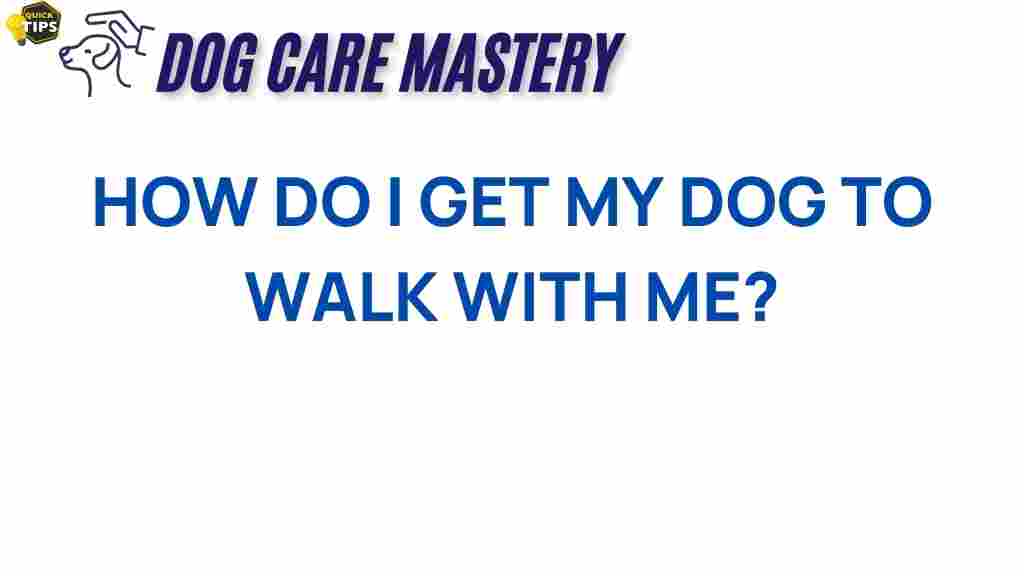 unlock-dog-walking-secrets