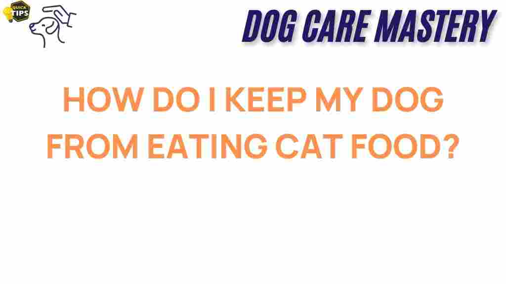 prevent-dog-eating-cat-food