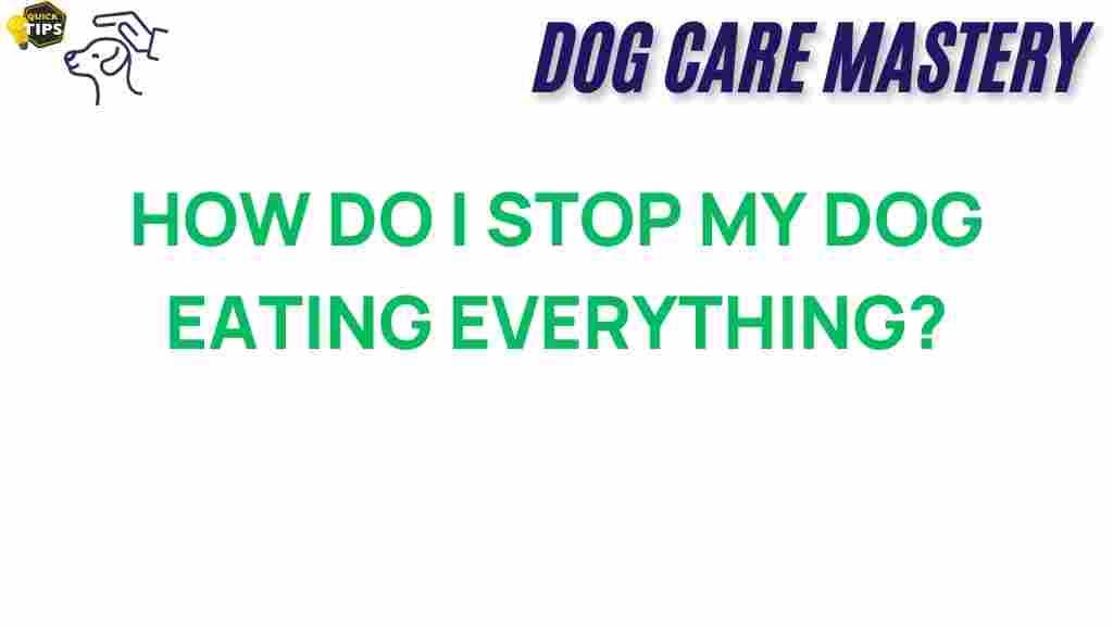 stop-dog-eating-everything