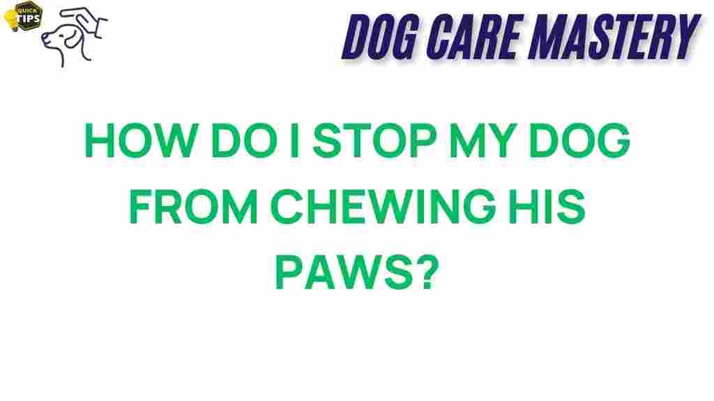 dog-chewing-paws