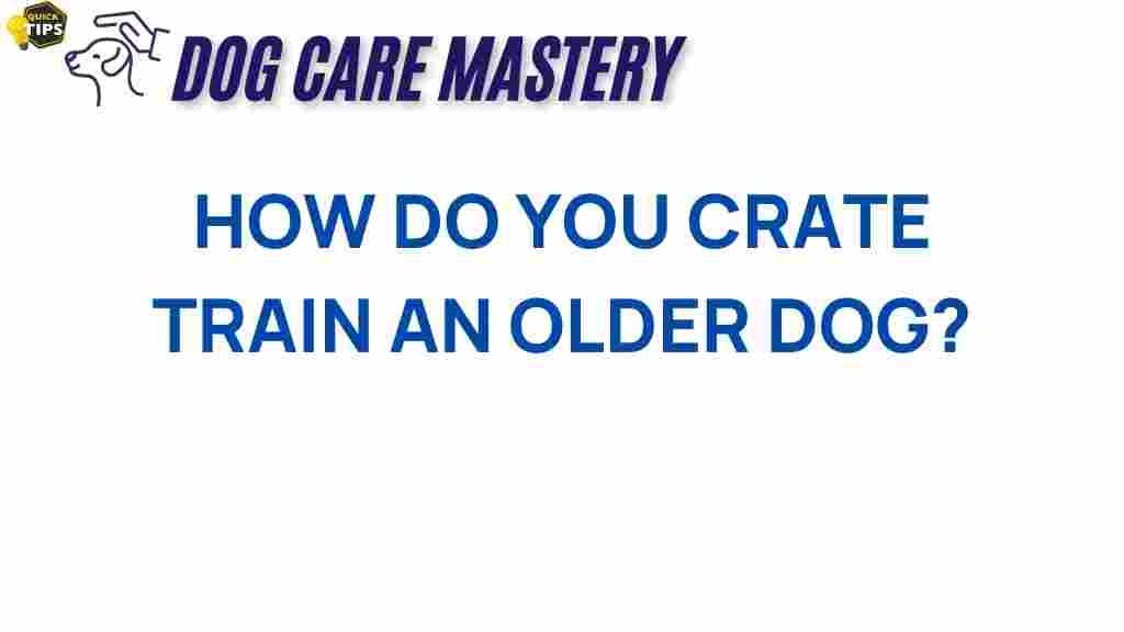 crate-training-older-dog