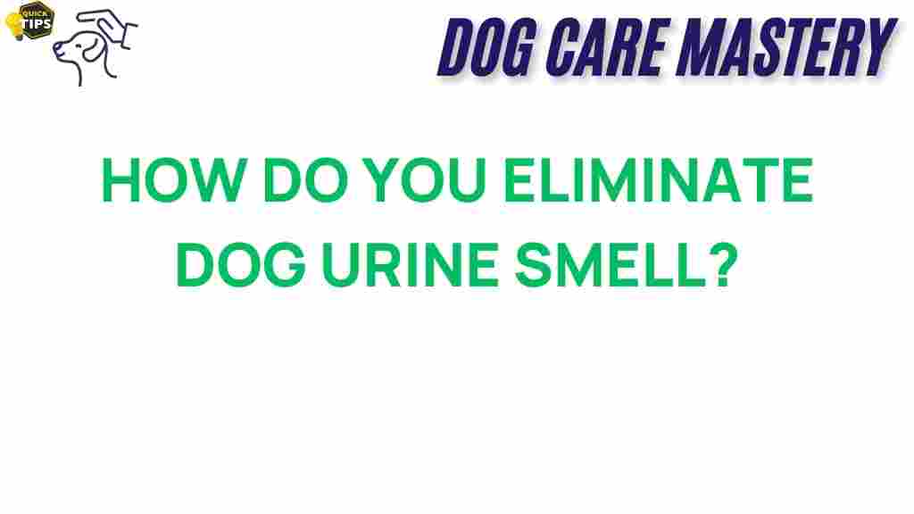 eliminate-dog-urine-smell