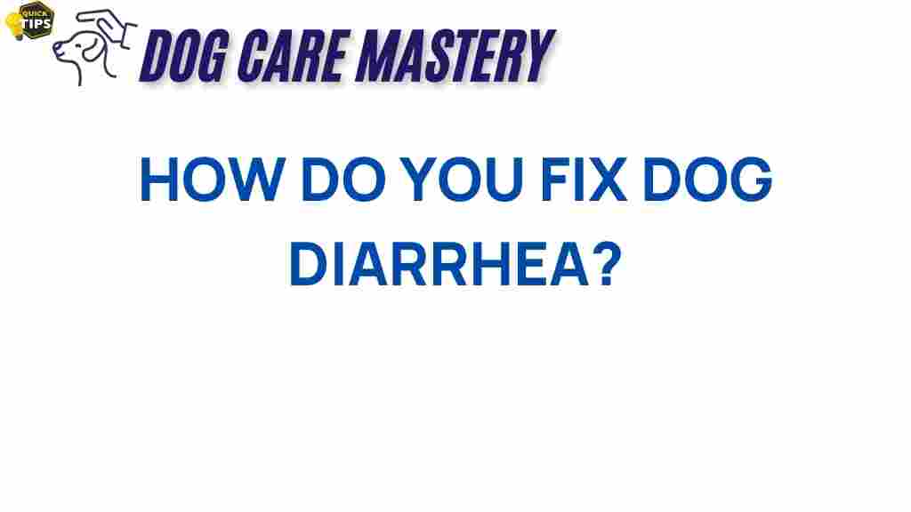 dog-diarrhea-fix