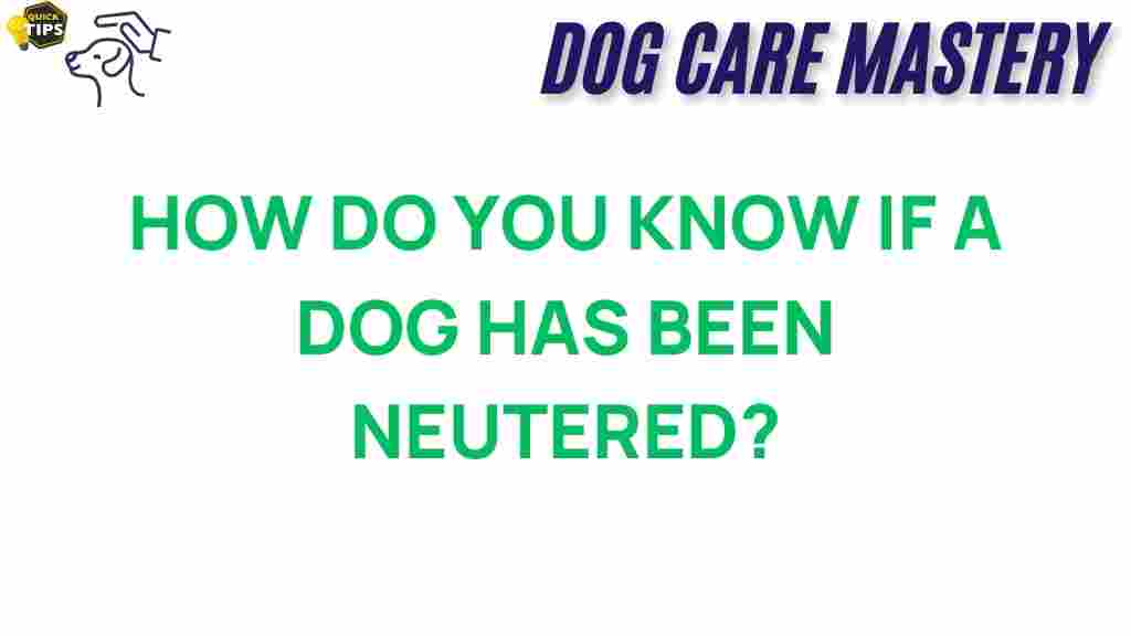 dog-neutering-indicators