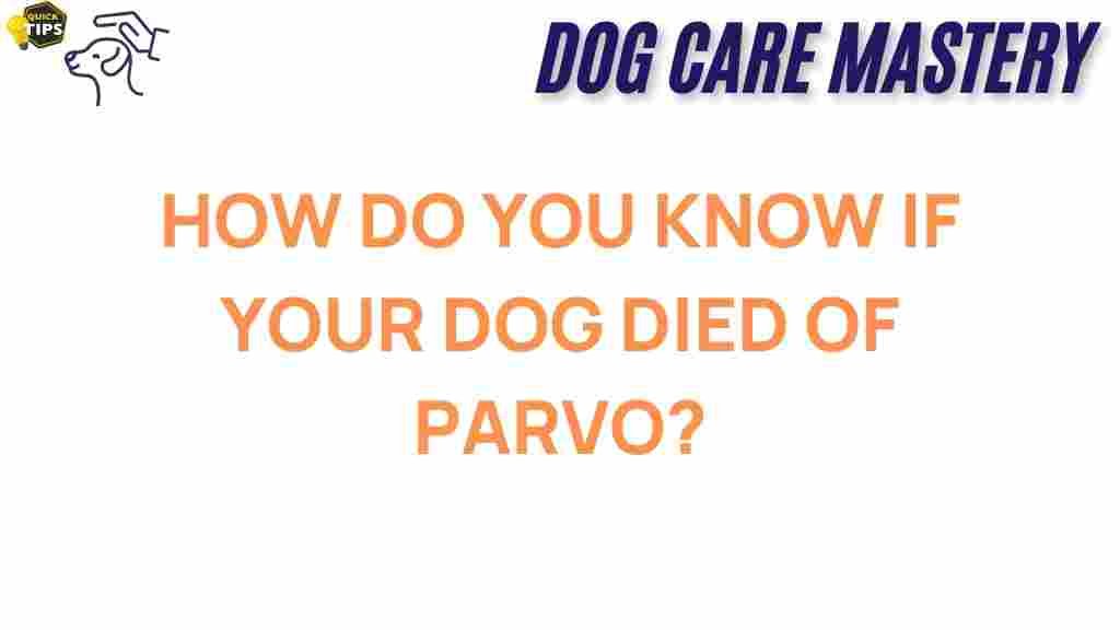 parvo-dog-health-signs