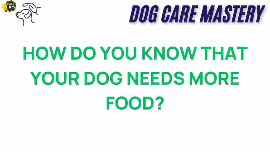 dog-nutrition-signs-your-dog-needs-more-food
