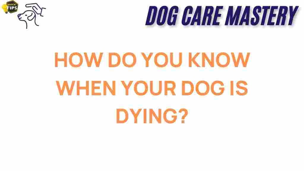 recognizing-signs-dog-health