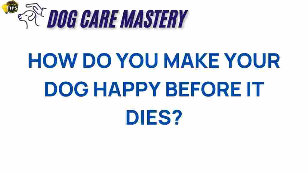 dog-happiness-golden-years