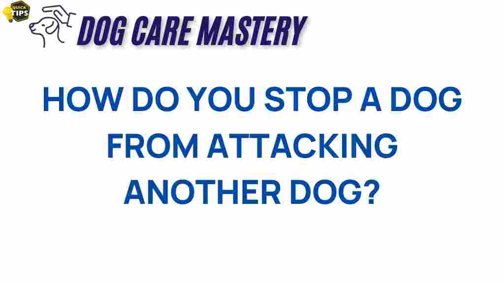 prevent-dog-aggression