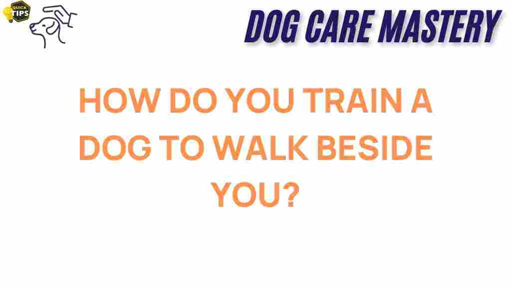 dog-training-walk-beside-you