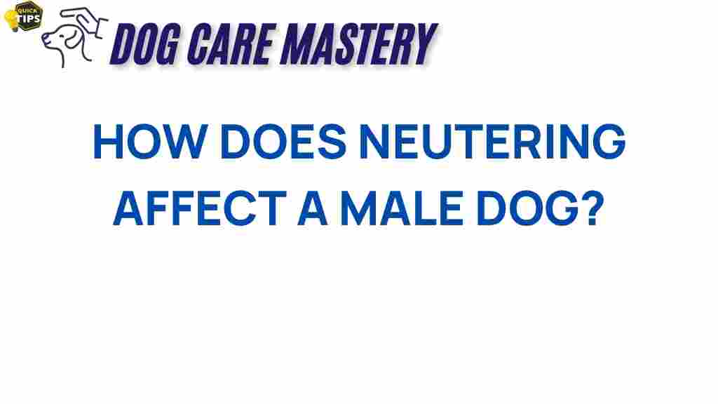 neutering-male-dogs-impact