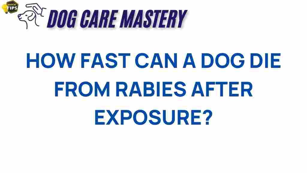 rabies-how-fast-dog-die-exposure