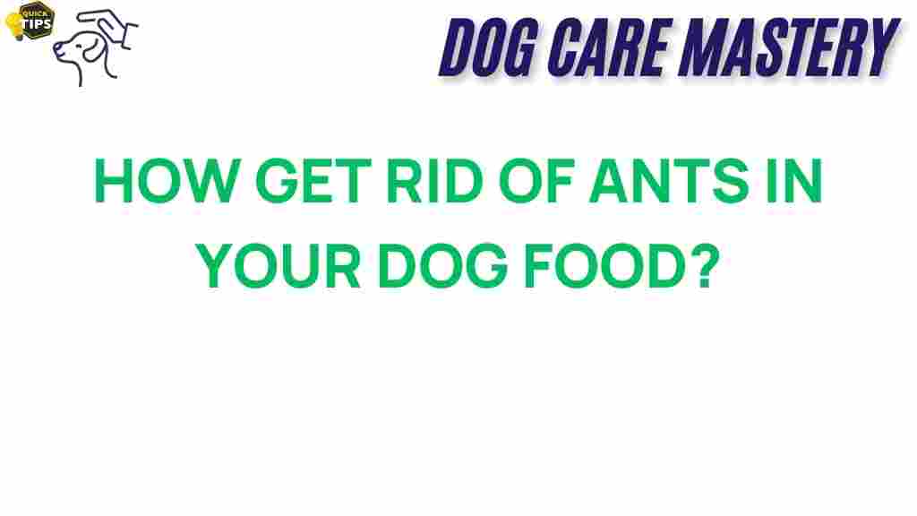 ants-in-dog-food