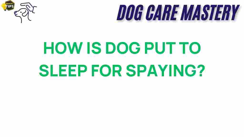 dog-sedation-spaying