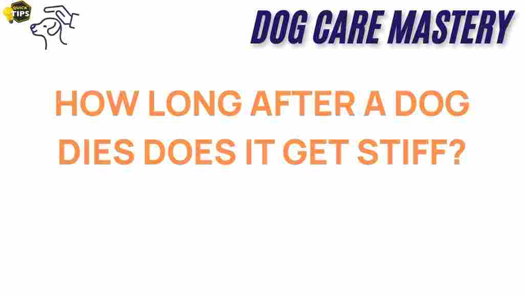 dog-death-rigor-mortis