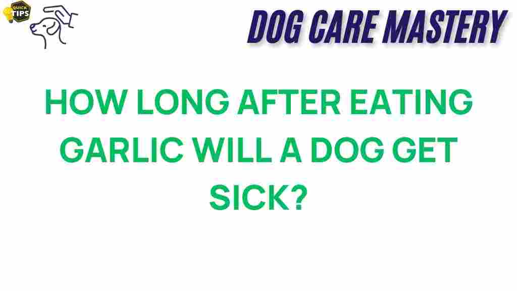 garlic-dog-health-safety