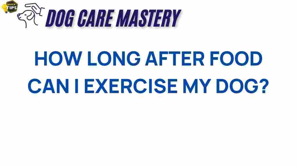 how-long-after-food-can-i-exercise-my-dog