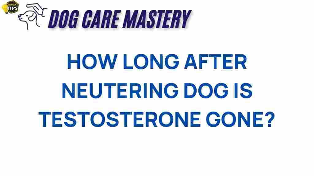 dog-neutering-testosterone-drop