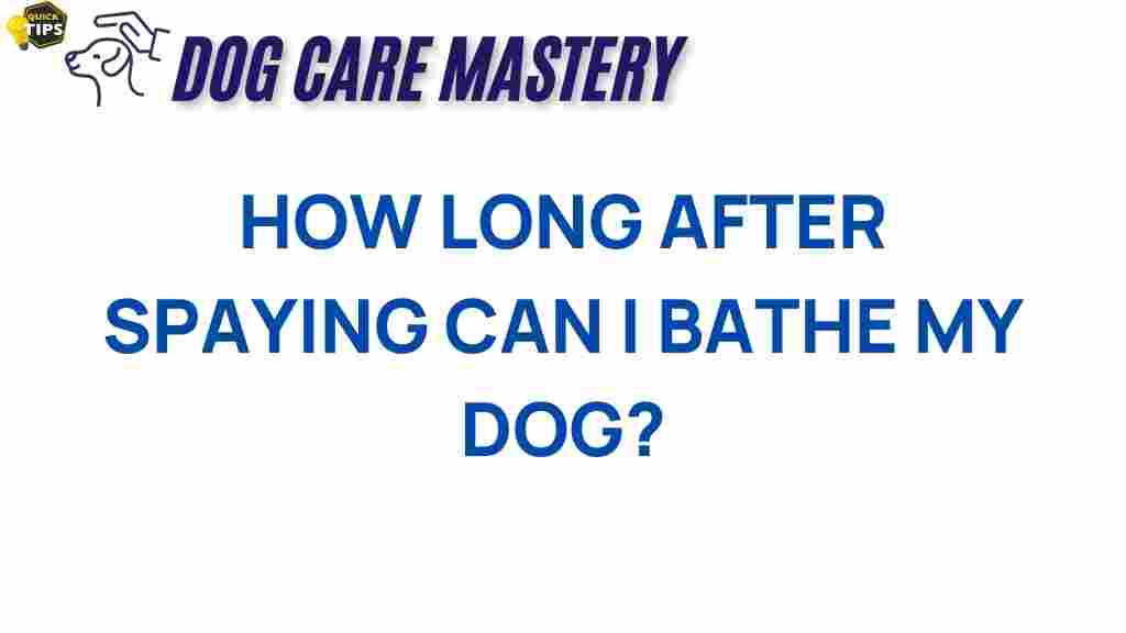 spaying-bathe-dog